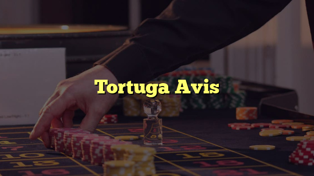 Tortuga Avis